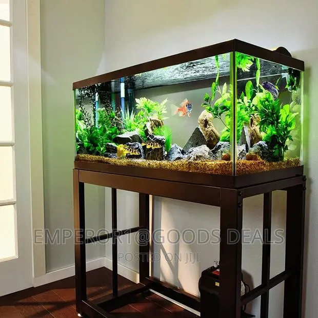 Aquarium With Fish · Photo 1