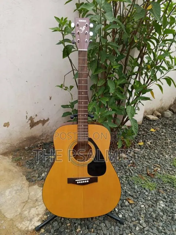 Yamaha F310 Original Acoustic Guitar With a Hard Case · Photo 1