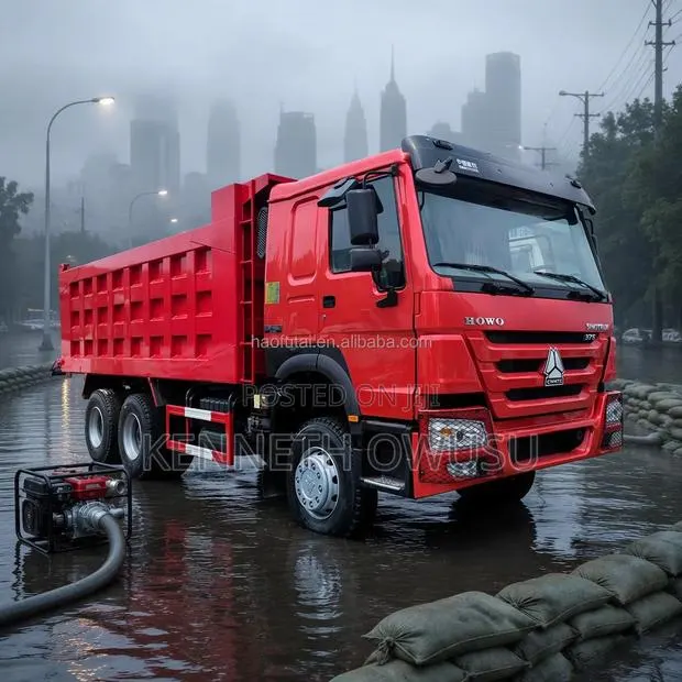 Affordable Promotion Chinese Government Slightly Used Dump Trucks · Photo 1