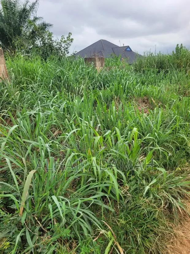One Half Plot for Sale at Santa'si Heman · Photo 1
