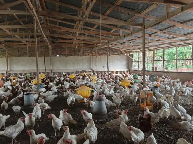 Poultry Farm for Sale at Kodie ( Near Kronum Afrancho) · Photo 1