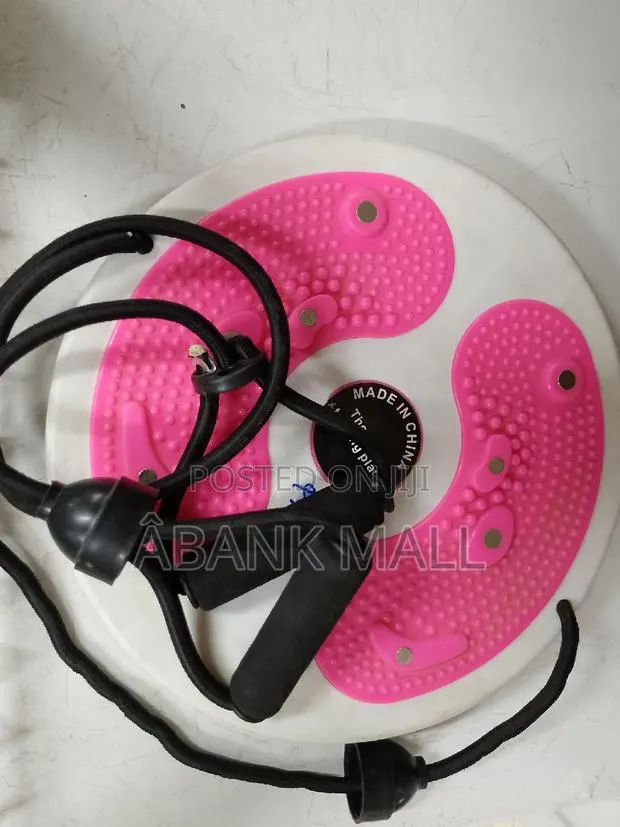 Waist Twist Disc · Photo 1