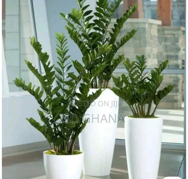 Gardener, or Landscape Design. · Photo 1