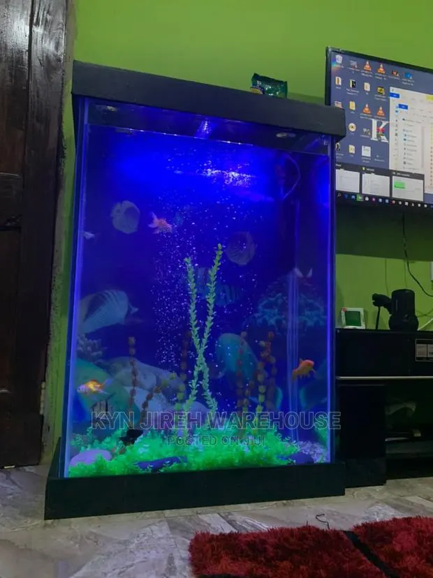 Huge Aquarium With Fishes · Photo 1