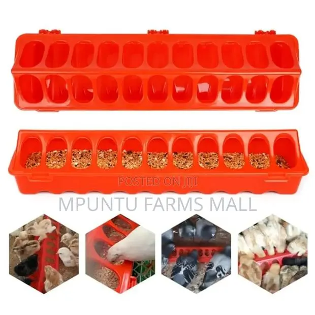 Flip Top Chick Feeder · Photo 1