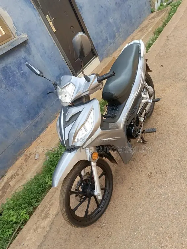 Luojia 110cc 2022 Gray · Photo 1