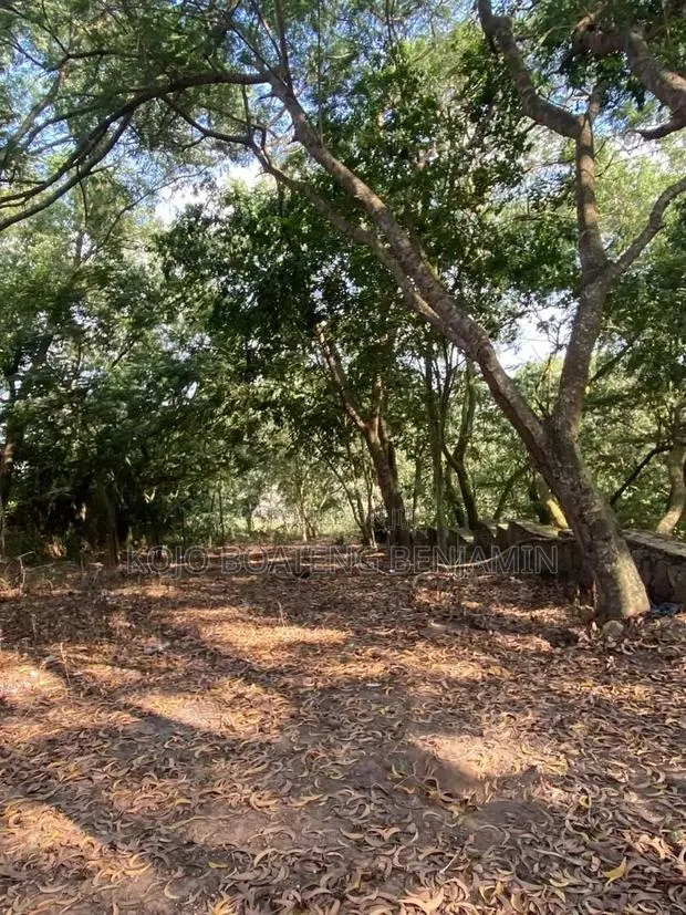 Land for Sale in Peduase Aburi · Photo 1