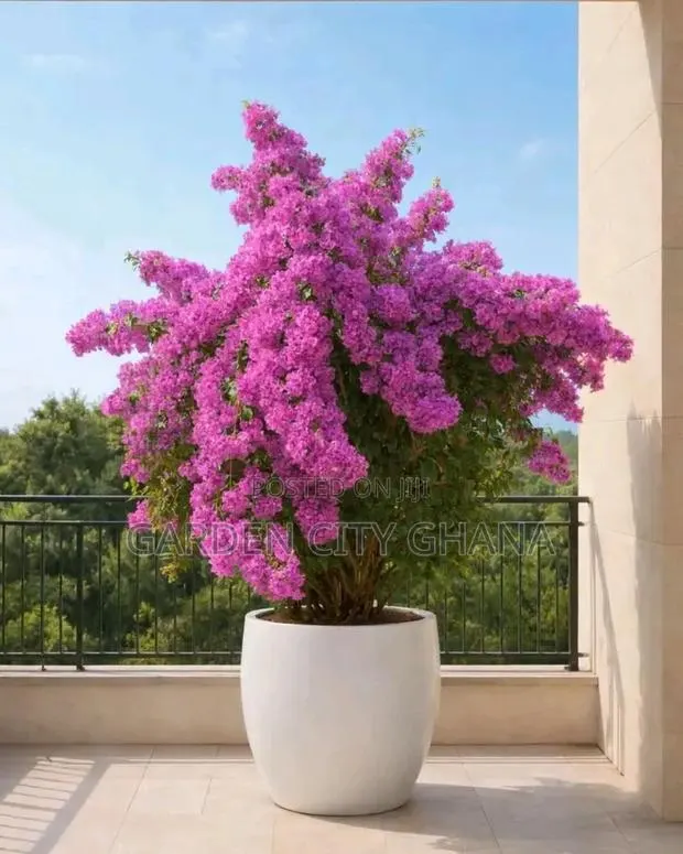 Garden Cityservices · Photo 2