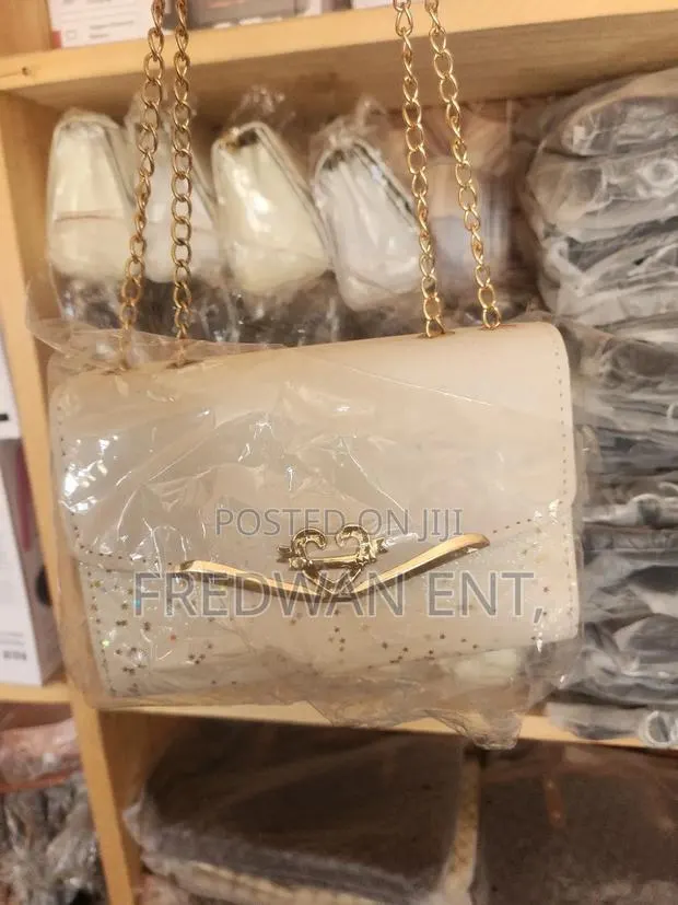 Lluxurious Party Bag · Photo 1