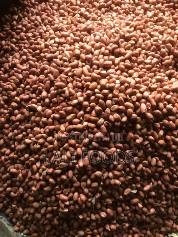 Fresh Groundnut -Normal Grade (100 Kg/Bag) · Photo 1