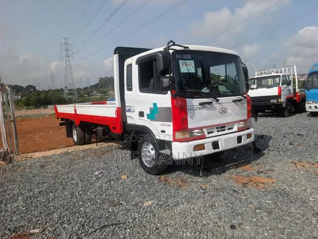 Hyundai Mega · Photo 1