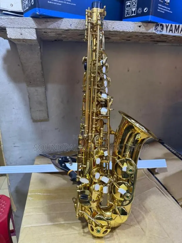 Gold-Lacquered Brass E-Flat Alto Saxophone · Photo 1