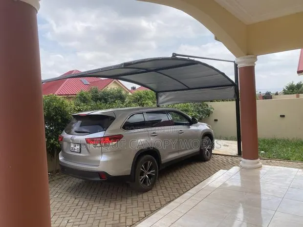 Original Car Canopy for Sale · Photo 1