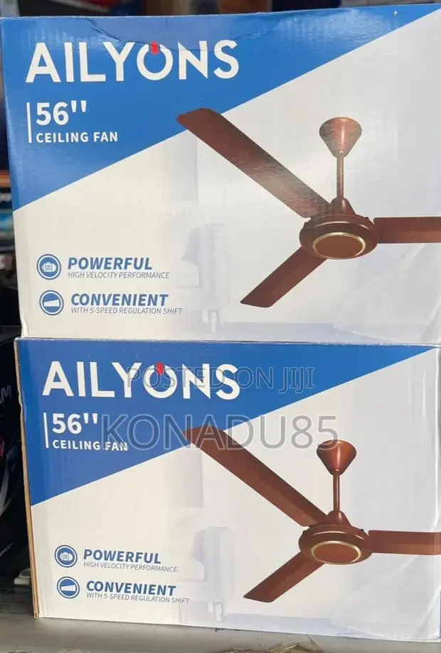 Ailyons Long Blade Ceiling Fan · Photo 1
