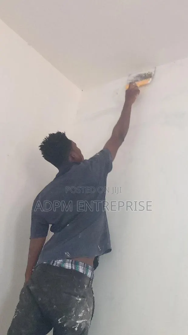 Professional Painter · Photo 1