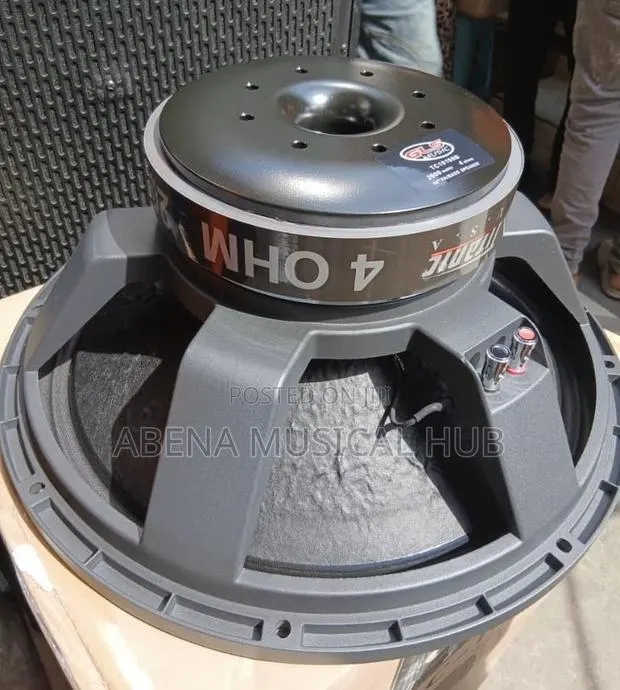 GLS 2000 Watt Naked Speaker · Photo 1