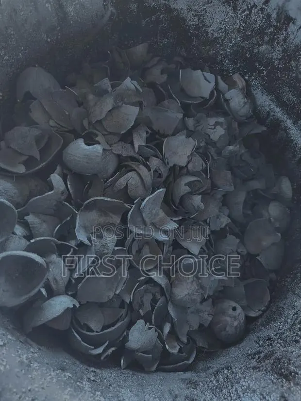 Coconut Shell Charcoal · Photo 1