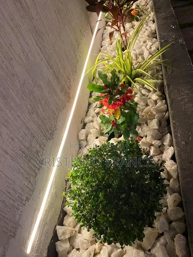 Chris Garden · Photo 4