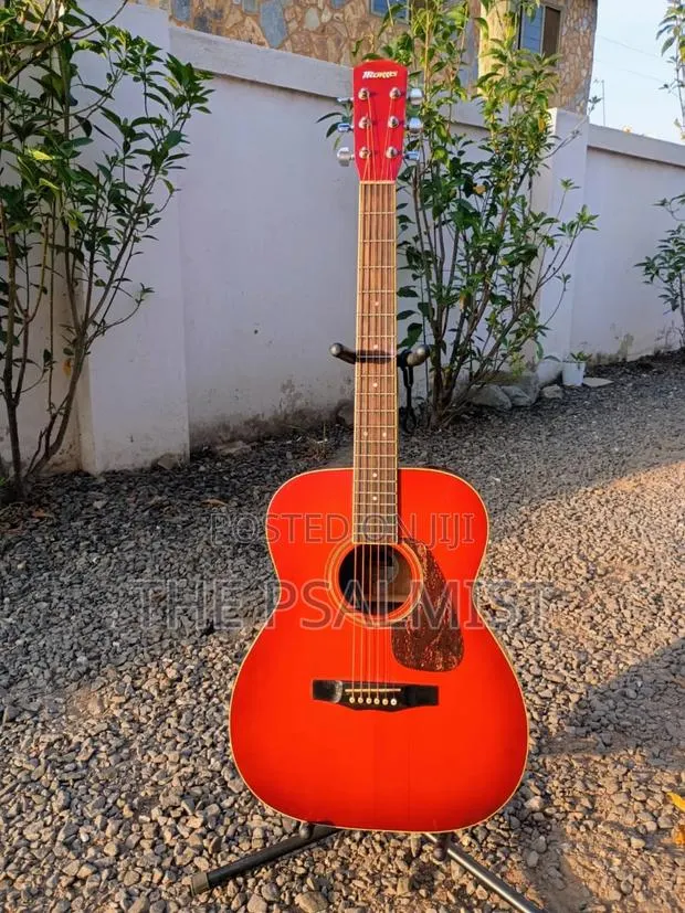 Morris F- 02rs Acoustic Guitar · Photo 1