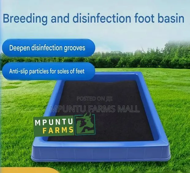 Plastic Footbath · Photo 3