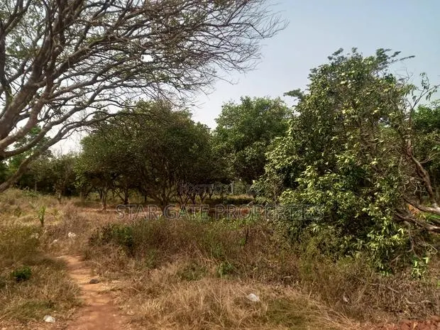 16 Plots ( 4 Acres Land) for Sale at Kubease ( Near Boankra) · Photo 1