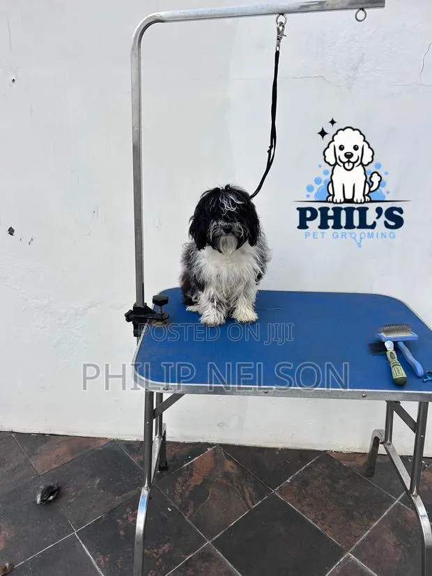 Dog Grooming Services · Photo 1