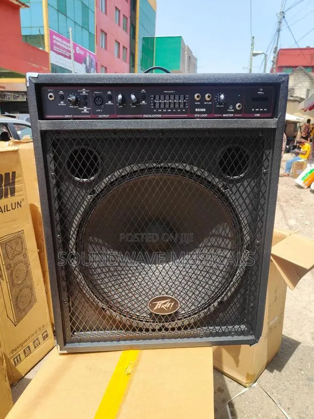 Peavey Bs-500 Bass Combo · Photo 1