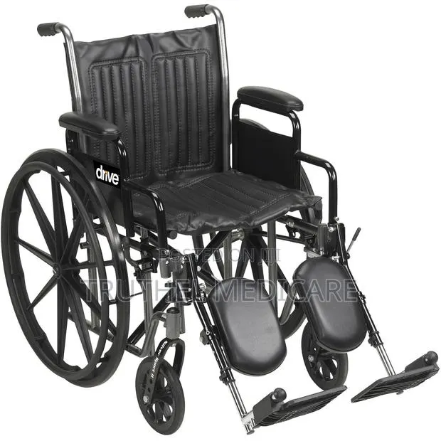 Executive Normal Wheelchair · Photo 1