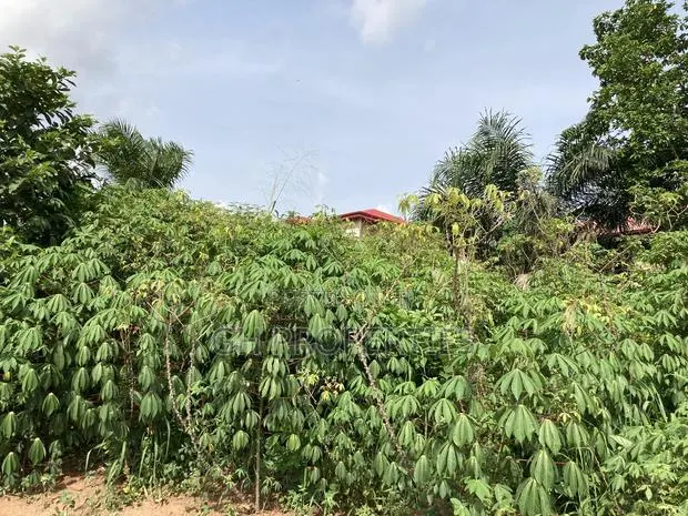 Plots for Sale at Kwanwoma,Duropem. · Photo 1