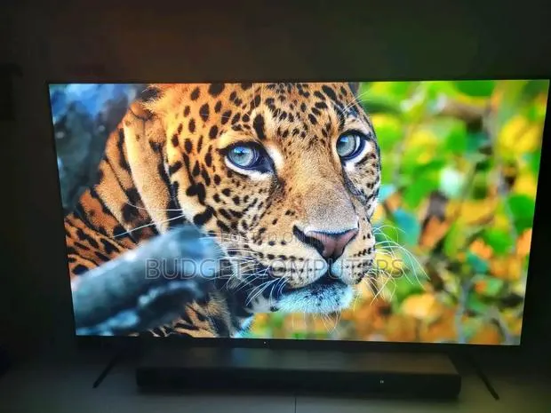 Sony Smart Oled Tv · Photo 1