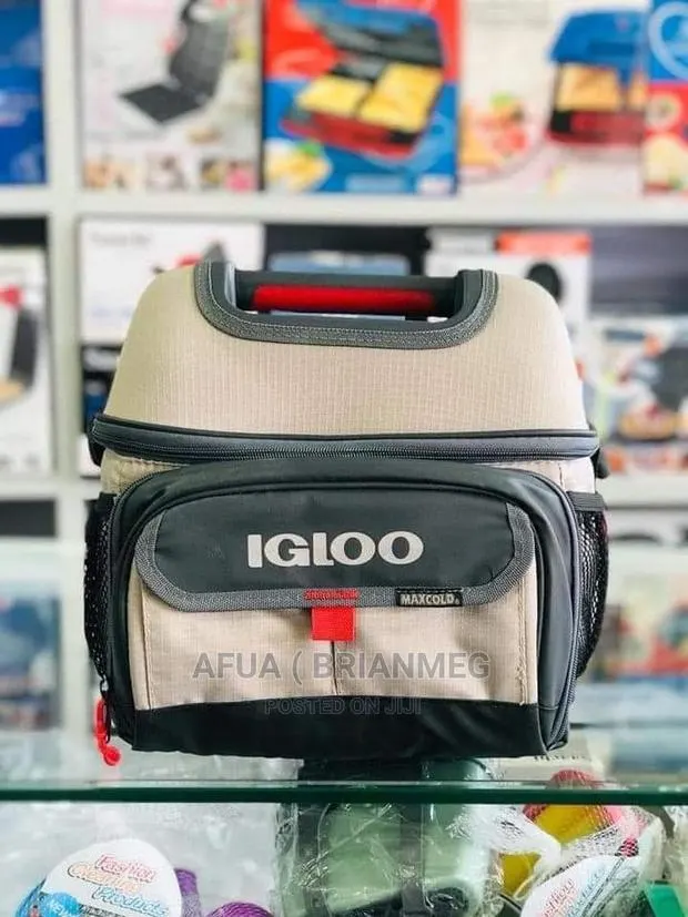 Igloo Insulted Bags 22cans · Photo 1