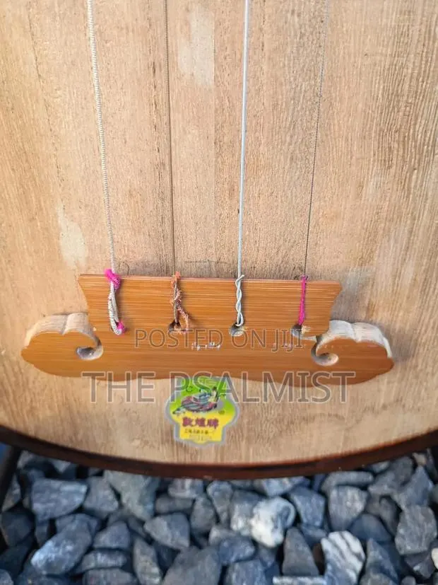 Pipa Chinese Traduitional Musical Instruments · Photo 3