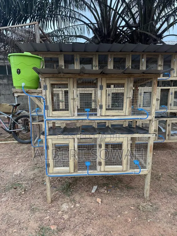 4 Rooms Modern Rabbit and Grasscutter Cage · Photo 4