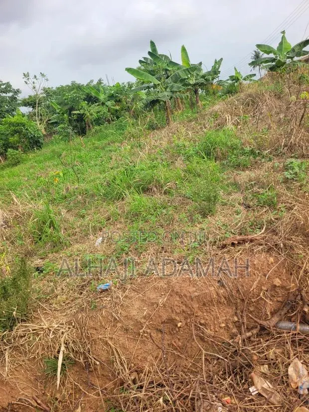 Land for Sale at Heman Near Main Road · Photo 7