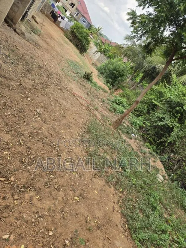 Half Plot of Land (30 by 100)for Sale at Ablekuma · Photo 2