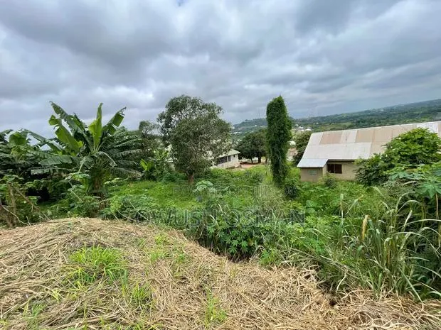 One Plot of Land for Sale · Photo 1