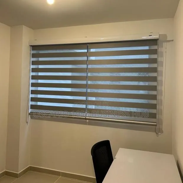 Minty Marvel Modern Design Window Zebra Curtain Blinds · Photo 1