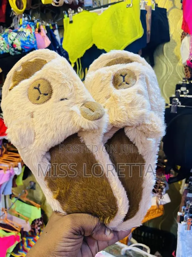 Lounge/Indoor Slippers · Photo 1