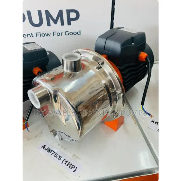 Electric Leo 1hp Stainless Water Pump · Photo 1