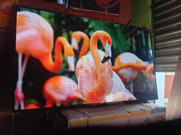 The Smartest Tv in Your Home – TCL 55inches Smart Tv · Photo 1