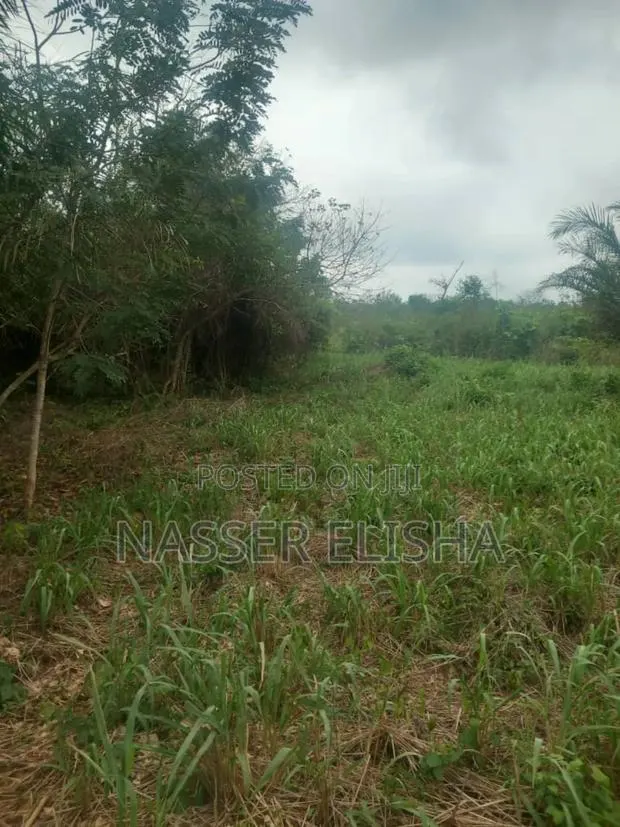 10 Plots for Sale by Mainroad · Photo 1