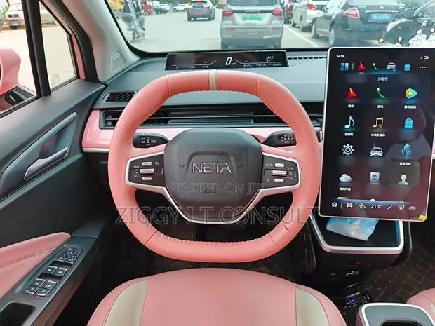 Neta V Base 2023 Pink · Photo 1