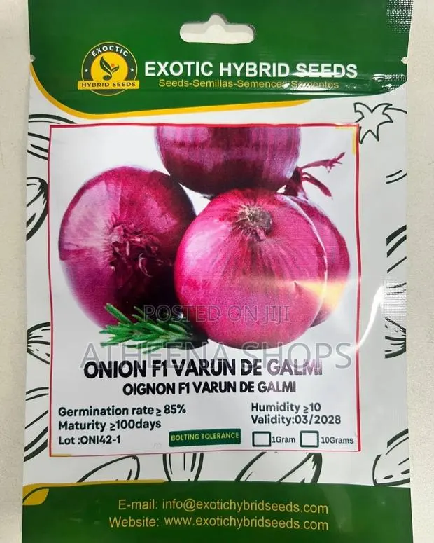 Onion Seeds · Photo 1