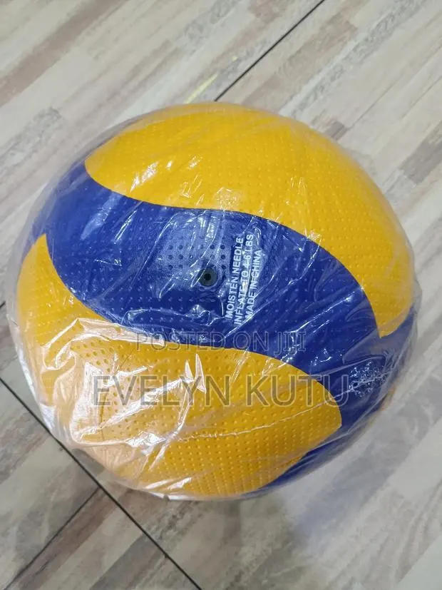 Mikasa Volleyball · Photo 1