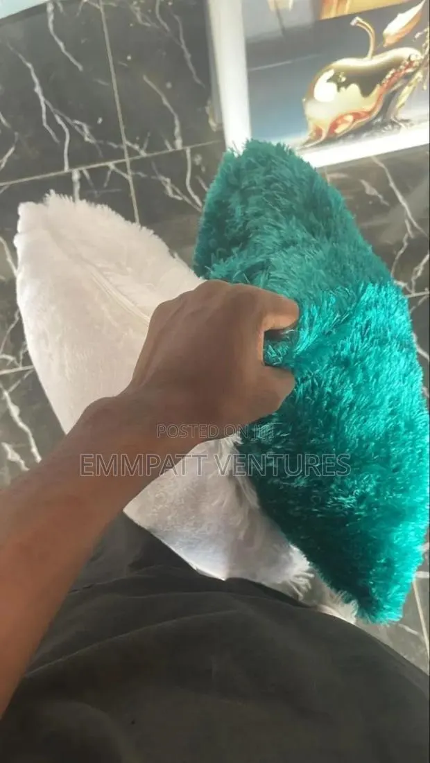 Quality Sofa Pillows Different Colours Available · Photo 1