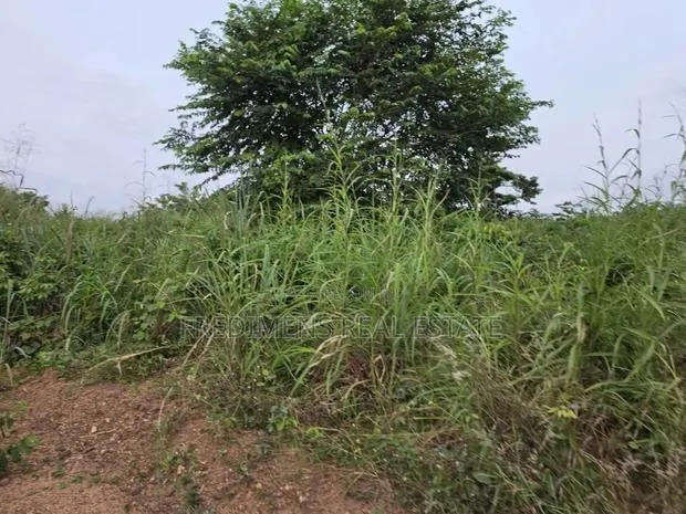 Land at Aboabugya for Sale · Photo 1