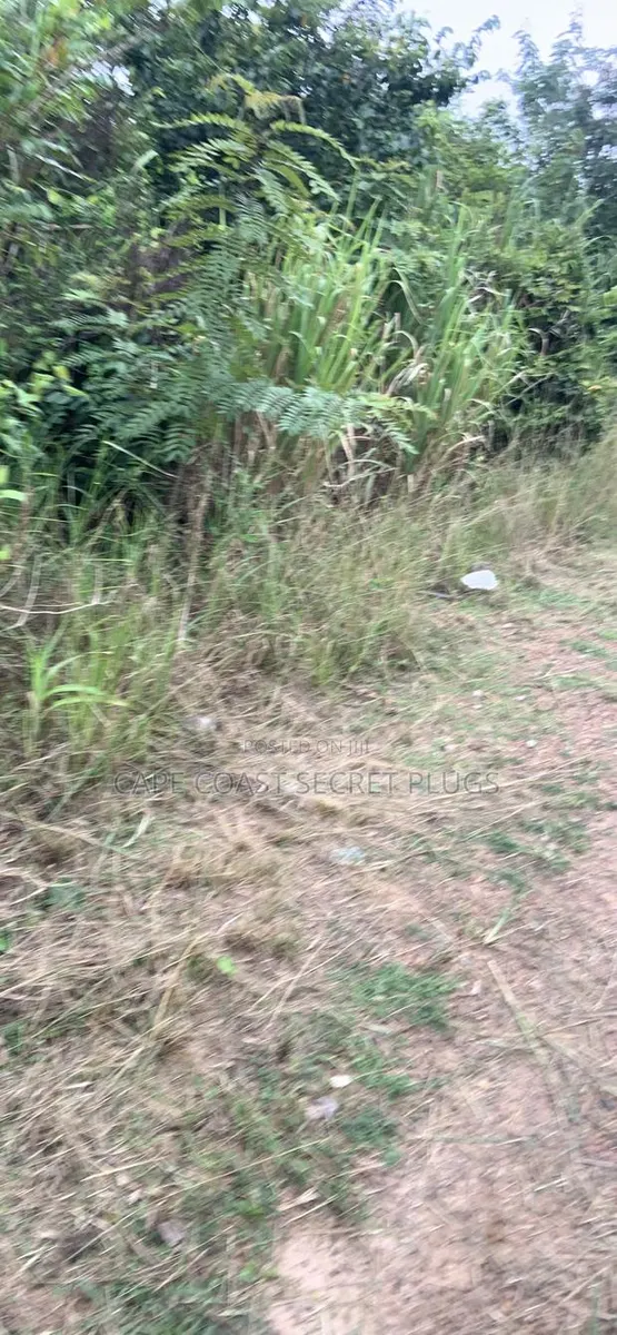 2 Plot of Land · Photo 1