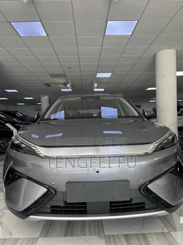 New BYD Yuan Plus 2025 Gray · Photo 1