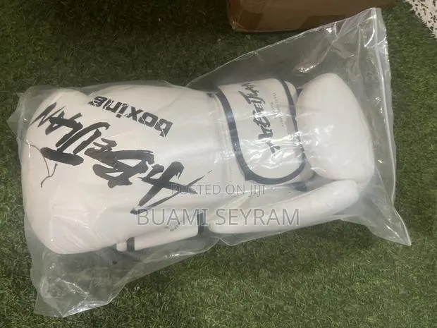 Abeijlan Boxing Gloves · Photo 1