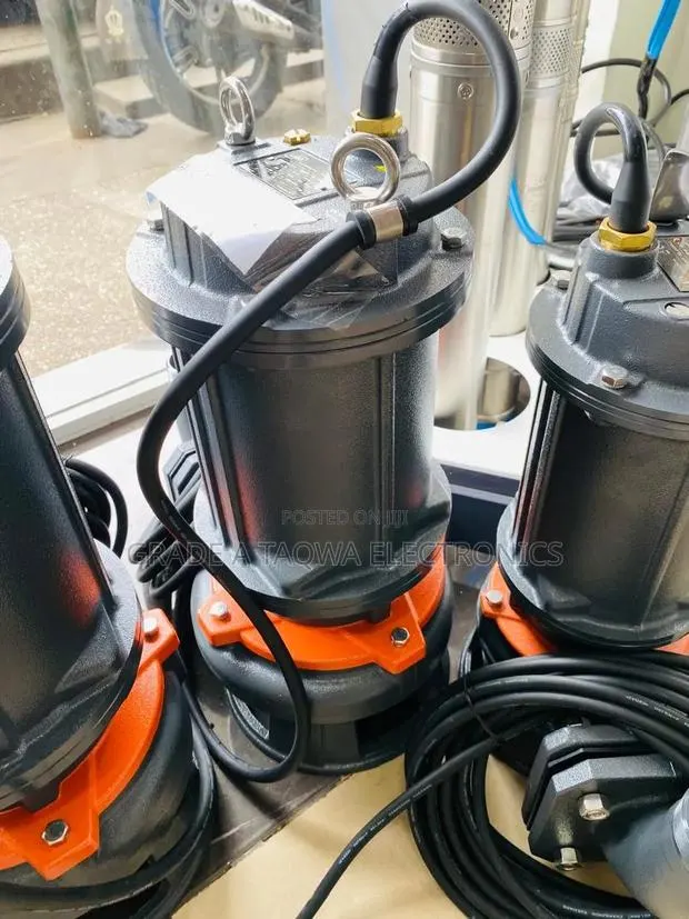 High Performer Sewage Duty Leo 4 Horsepower 3 Phase Sewage Pump · Photo 1